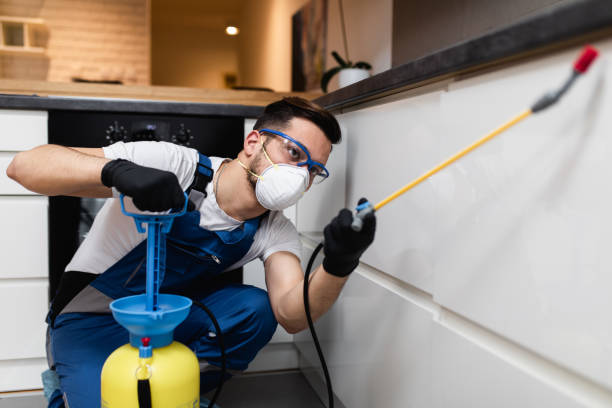 Best Local Pest Control Services  in Poplar Cotton Center, CA