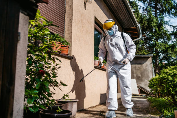 Best Best Pest Control Companies  in Poplar Cotton Center, CA